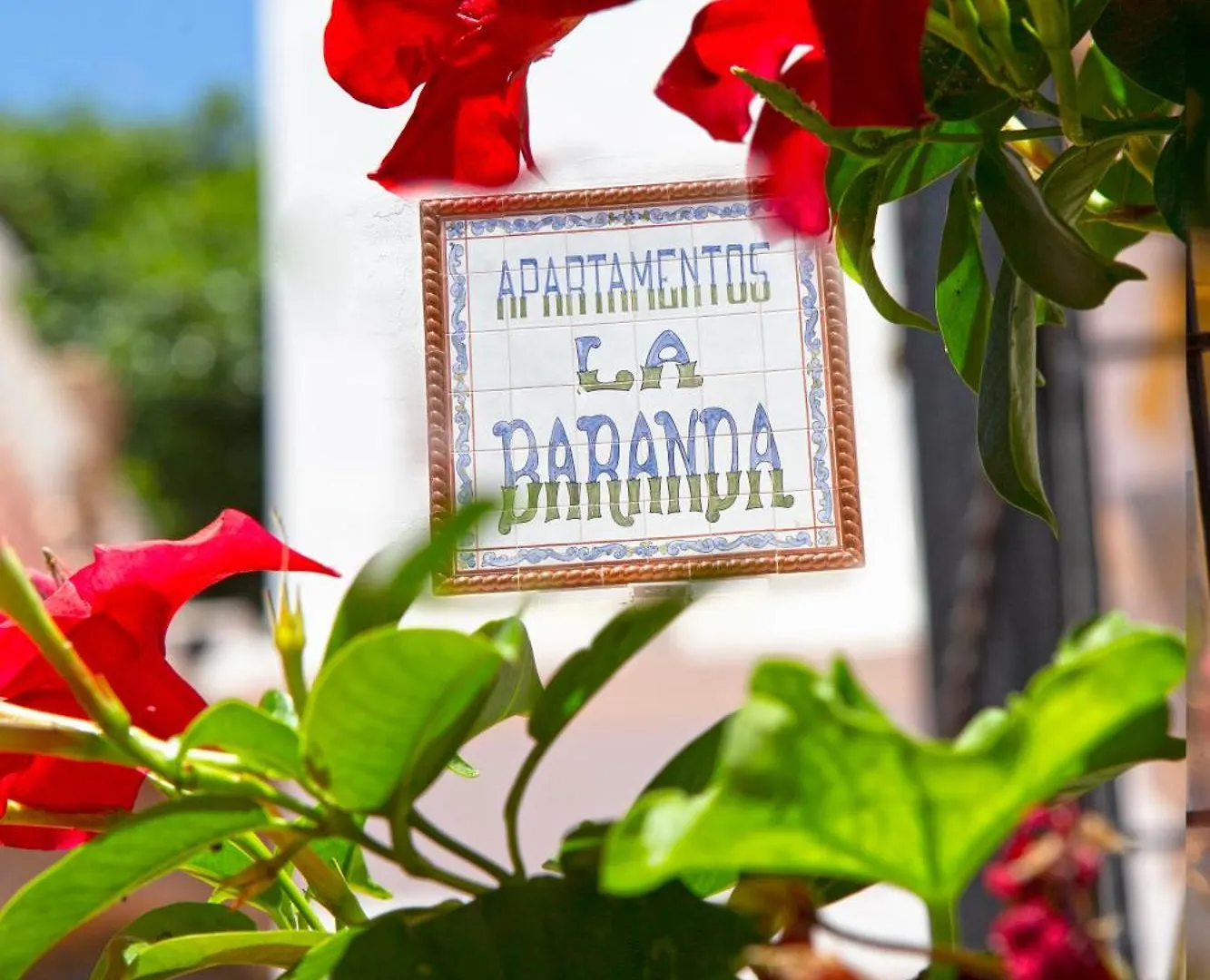 Apartamentos La Baranda Torremolinos